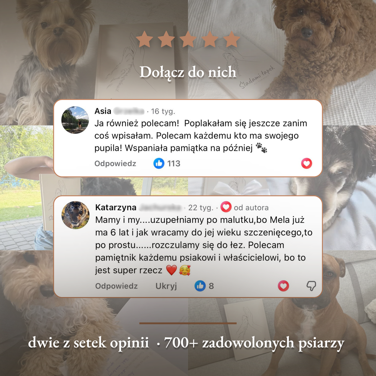Psi Pamiętnik