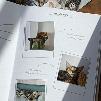Koci Pamiętnik