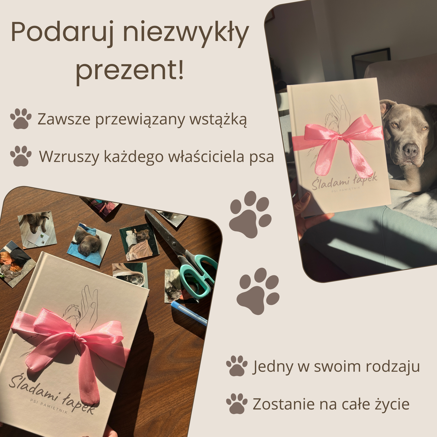 Śladami łapek - Psi pamiętnik