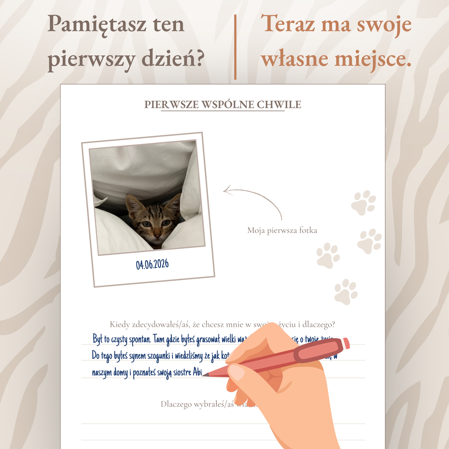 Preorder Koci Pamiętnik