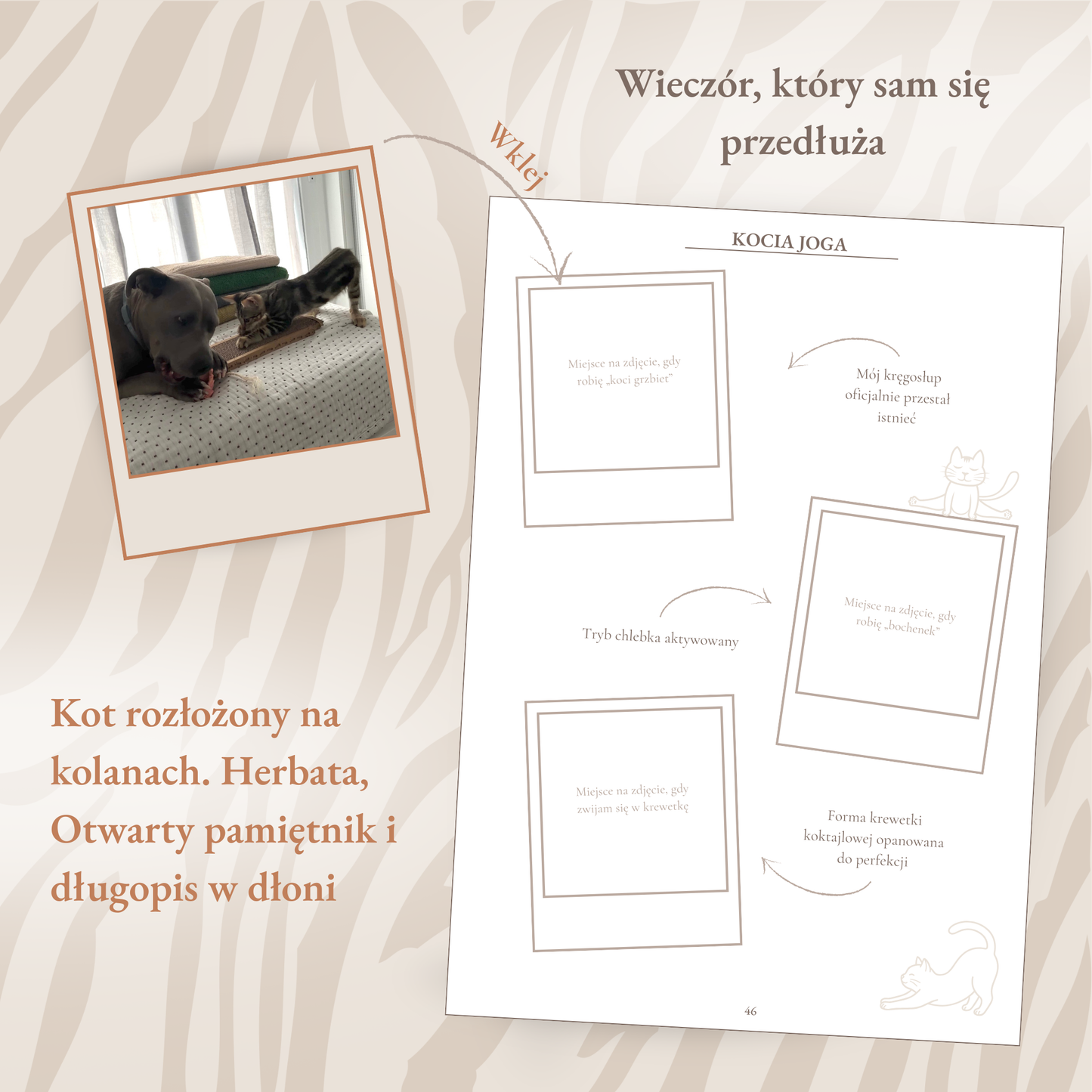 Preorder Koci Pamiętnik