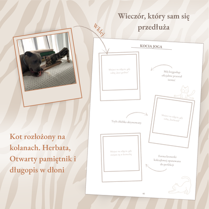 Preorder Koci Pamiętnik