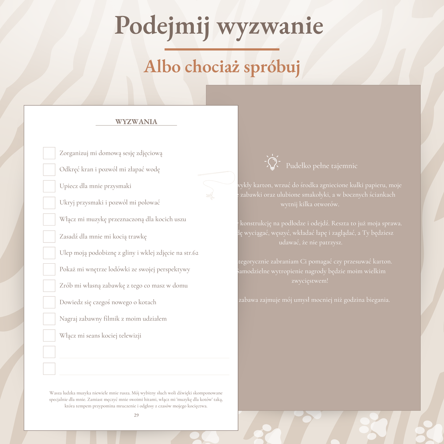 Preorder Koci Pamiętnik